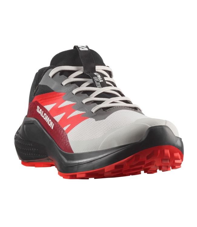 Salomon Alphaglide GTX