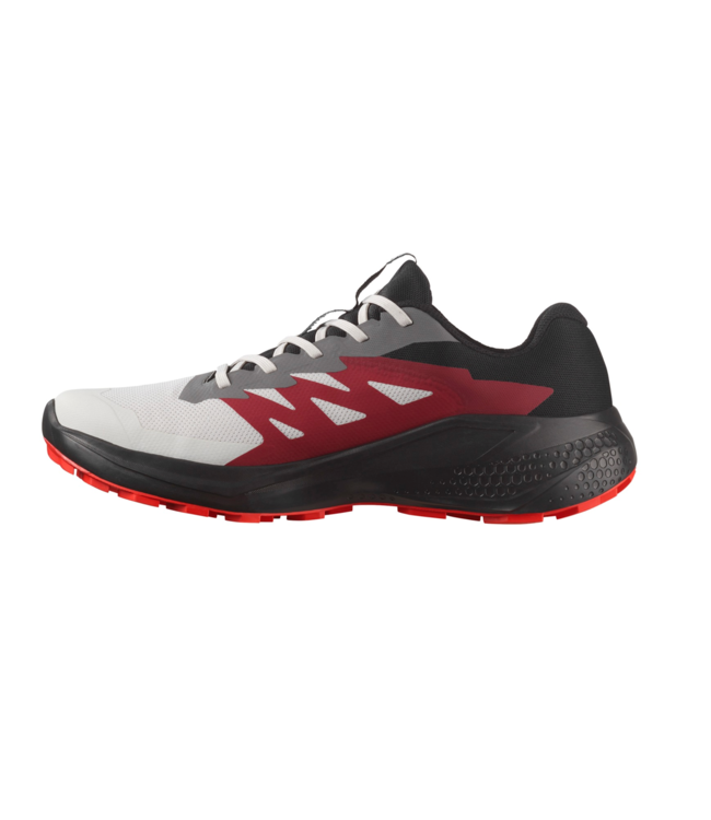 Salomon Alphaglide GTX