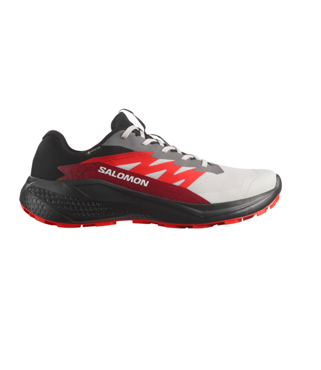 Salomon Alphaglide GTX