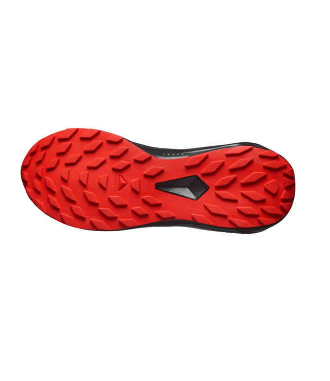 Salomon Alphaglide GTX