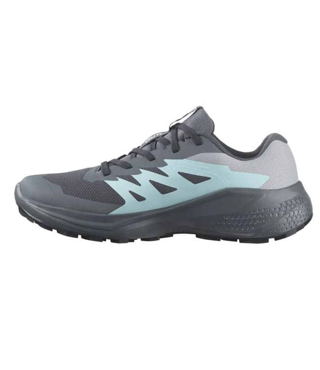 Salomon Alphaglide GTX W