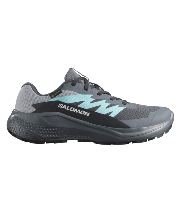 Salomon Alphaglide GTX W