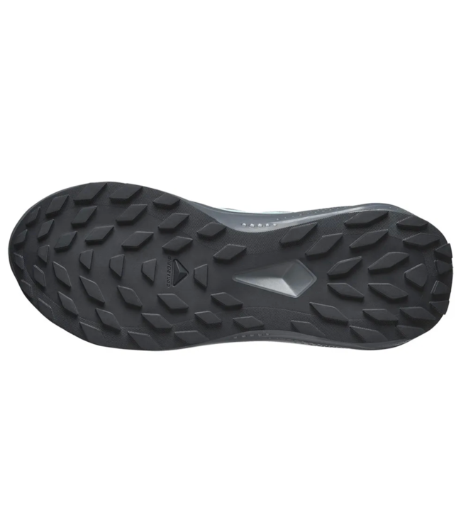 Salomon Alphaglide GTX W