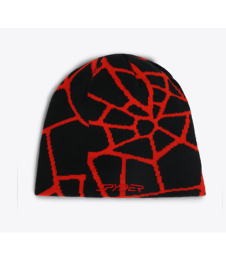 Spyder Reversible Web Hat