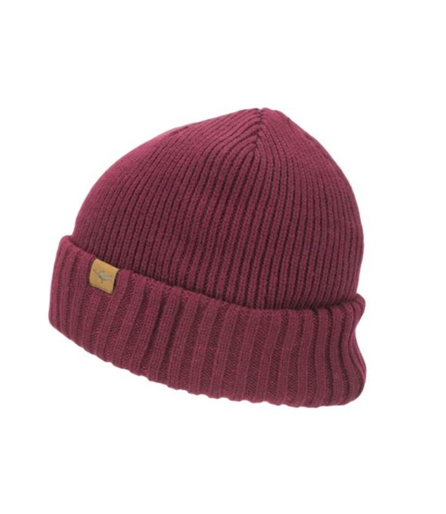 SealSkinz Sealskinz Waterproof Cold Weather Roll Cuff Beanie Hat