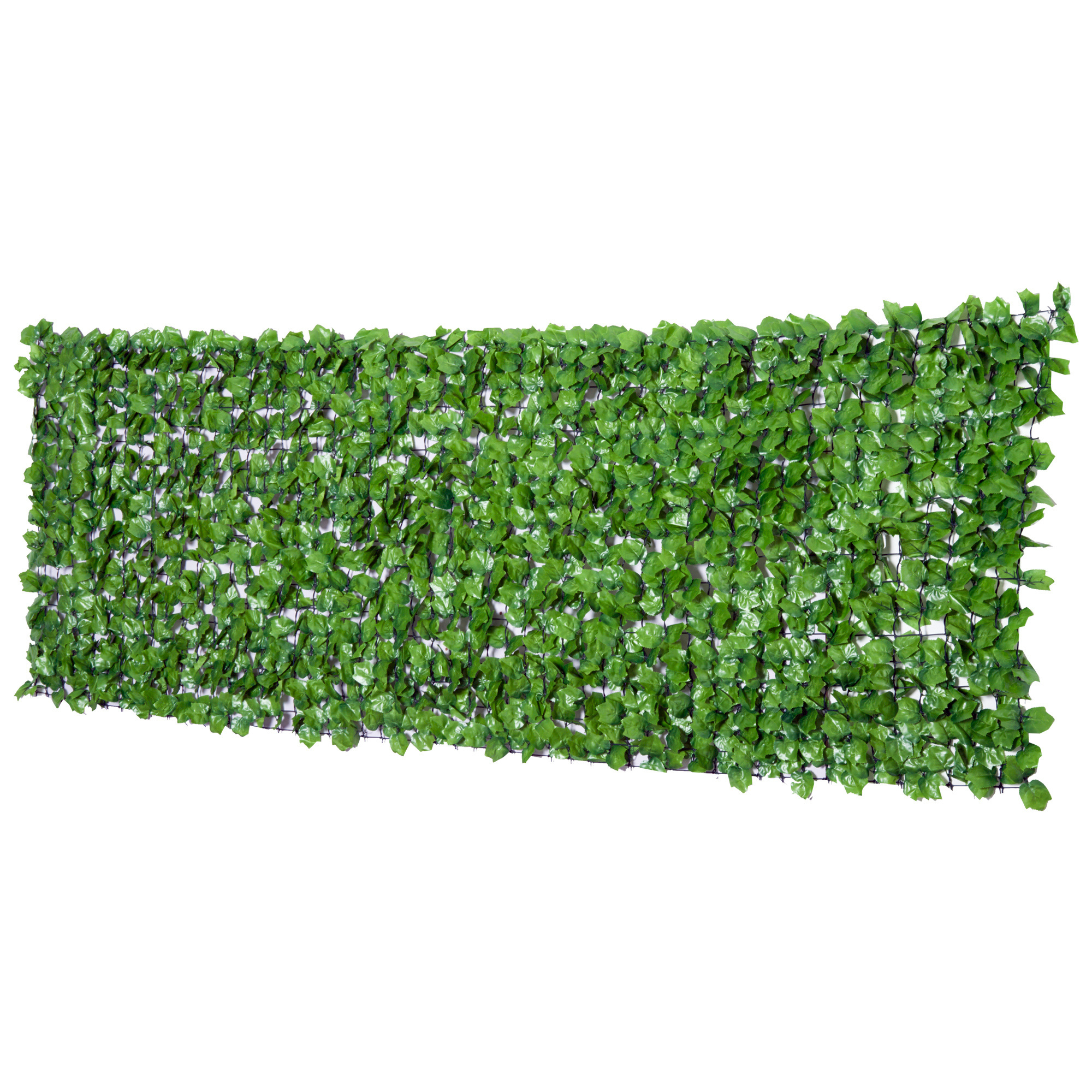 Sunny Privacyscherm UV en Weersbestendig lichtgroen 1 x 3m