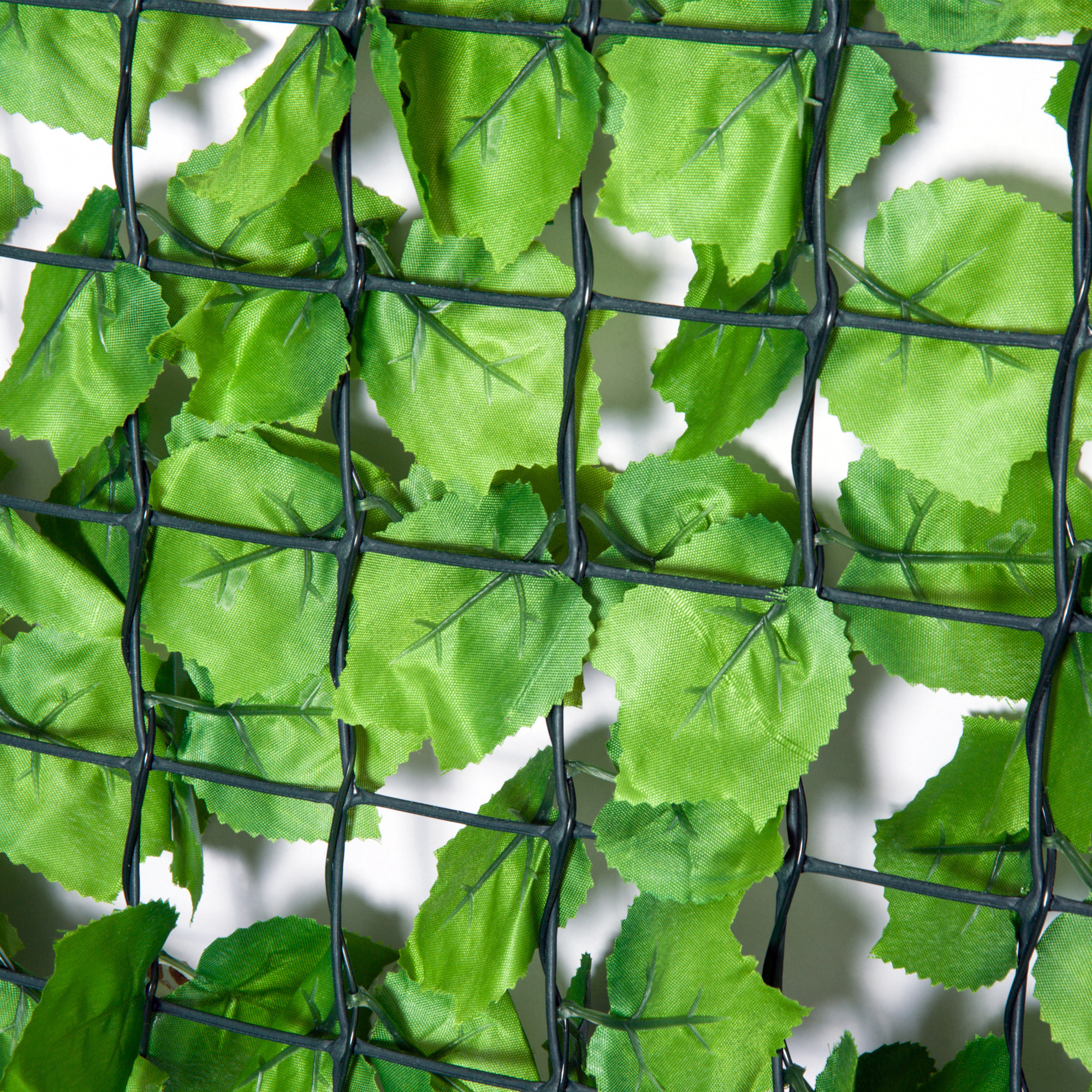 Sunny Privacyscherm UV en Weersbestendig lichtgroen 1 x 3m