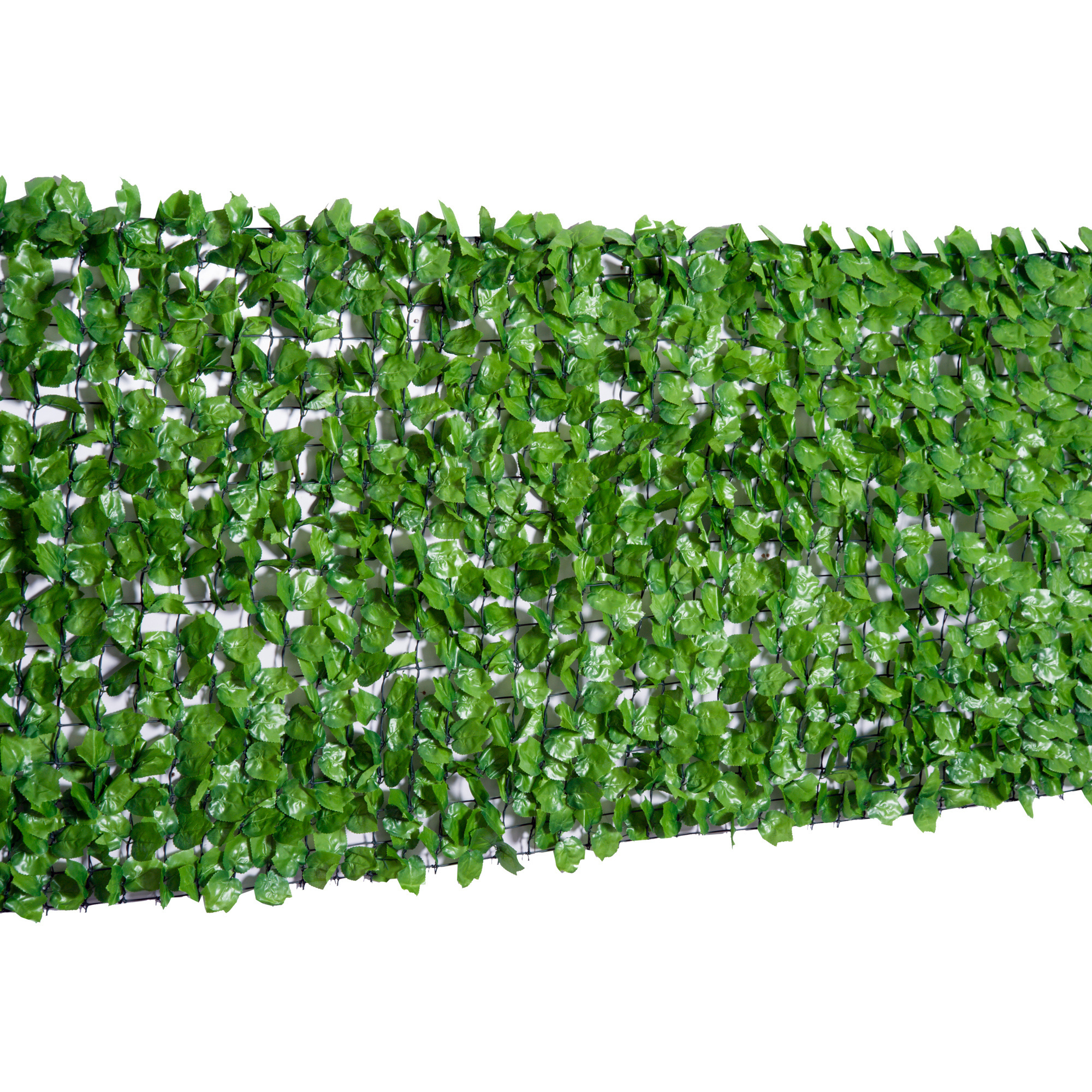 Sunny Privacyscherm UV en Weersbestendig lichtgroen 1 x 3m