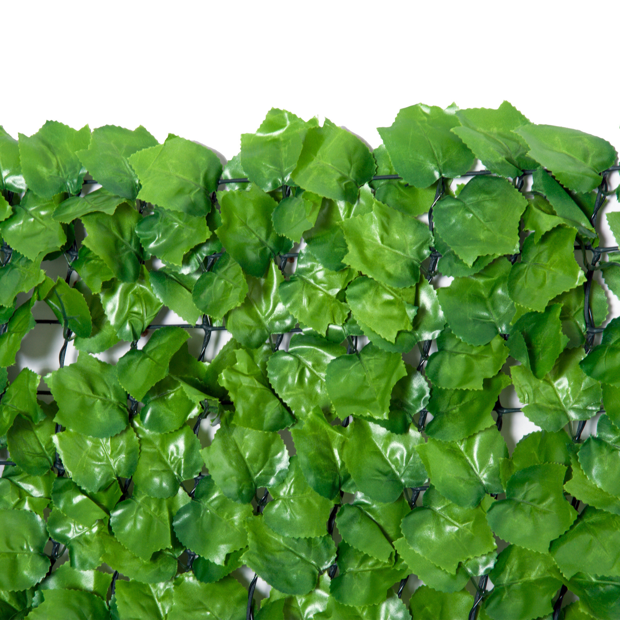 Sunny Privacyscherm UV en Weersbestendig lichtgroen 1 x 3m