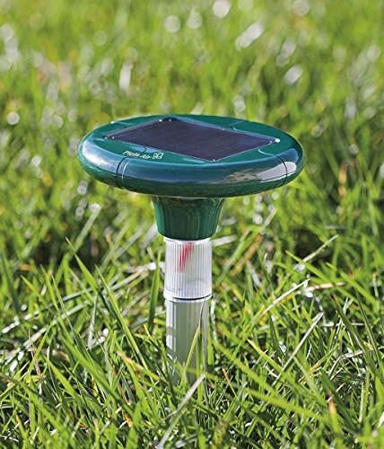 Plein Air ultrasone mollenverjager 400-1000 Hz - 625m²