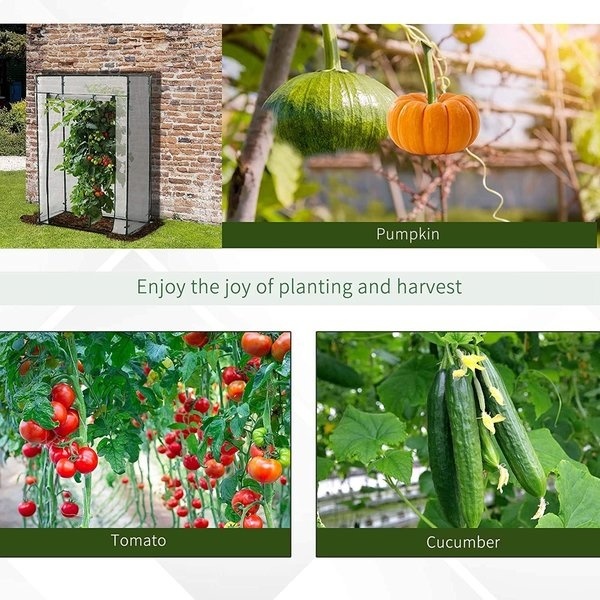FLO Rechthoekige Kweekkas - Broeikas - Voor Tomaten - PVC - 100x50x150 cm