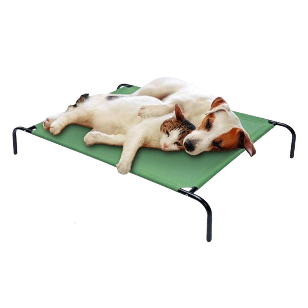 Verhoogd huisdierbed L GROEN 110x70x20cm - Max. 60kg