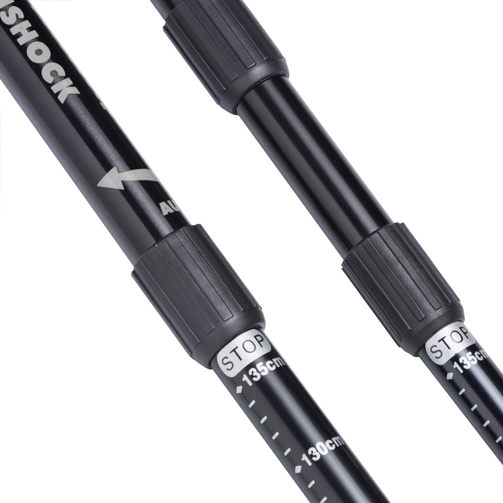 Deuba Sportana Nordic Walking stokken - grijs