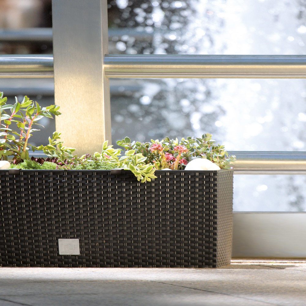 Prosperplast Plantenbak polyrattan look antraciet 60x25x46cm
