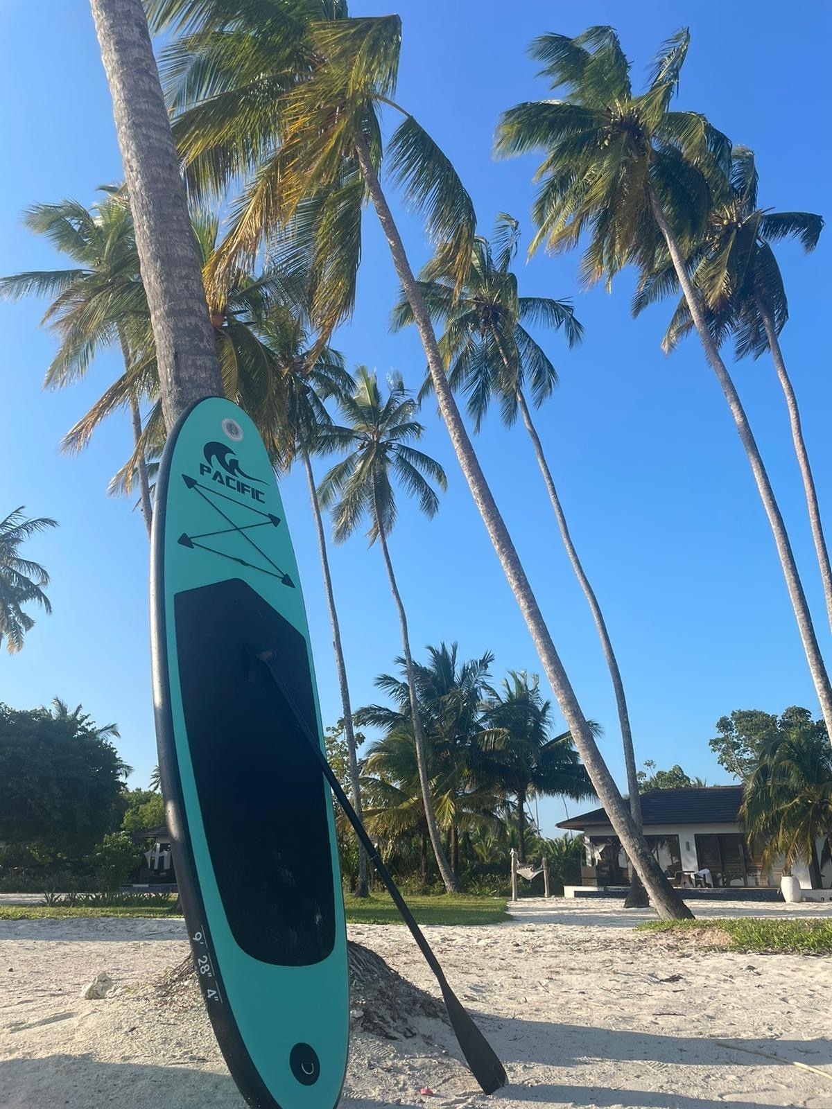 Pacific Special Edition Sup Board met GRATIS Waterproof Telefoonhoesje - Extra Stevig - 285 cm - Groen - Tot 100 kg