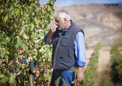 Bodegas Nestares Eguizabal