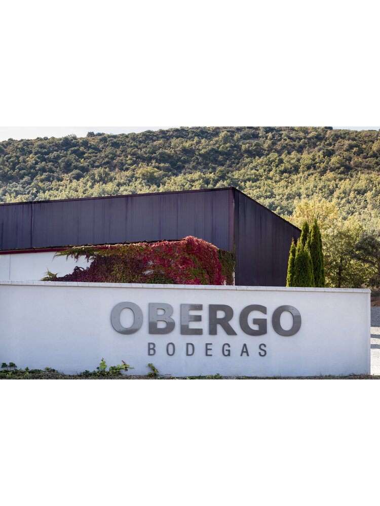 Bodegas Obergo Obergo Expression Blanco 2022