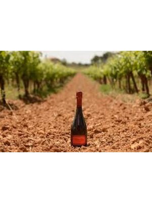 Bodegas Hispano+Suizas Bodegas Hispano+Suizas Tantum Ergo Pinot Noir Rosé 2021