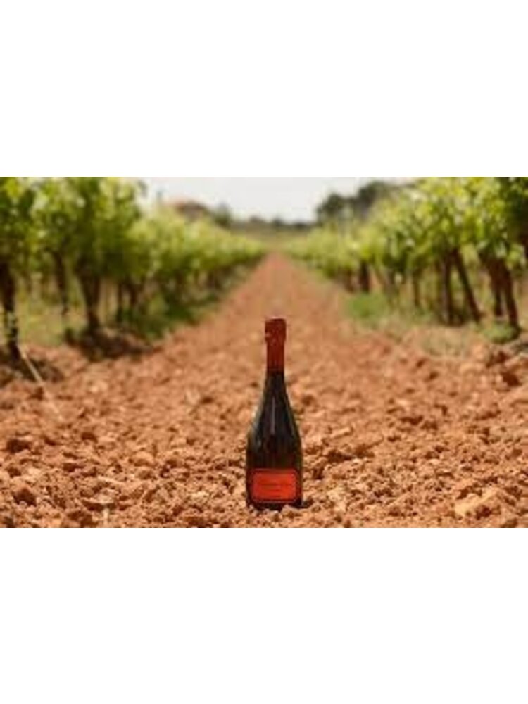 Bodegas Hispano+Suizas Bodegas Hispano+Suizas Tantum Ergo Pinot Noir Rosé 2021