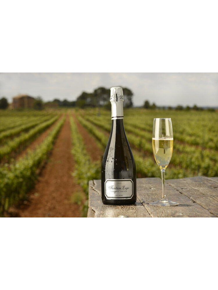 Bodegas Hispano+Suizas Bodegas Hispano+Suizas Tantum Ergo Chardonnay & Pinot Noir 2021