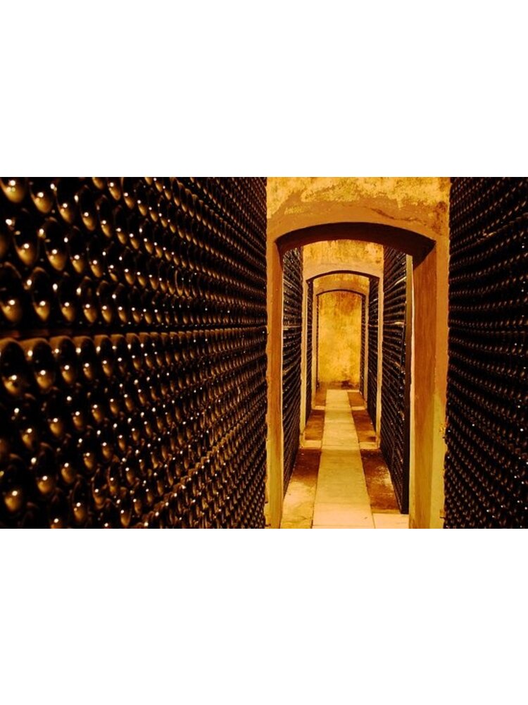 Bodega Pirineos Pirineos Señorio de Lazán Crianza 2020
