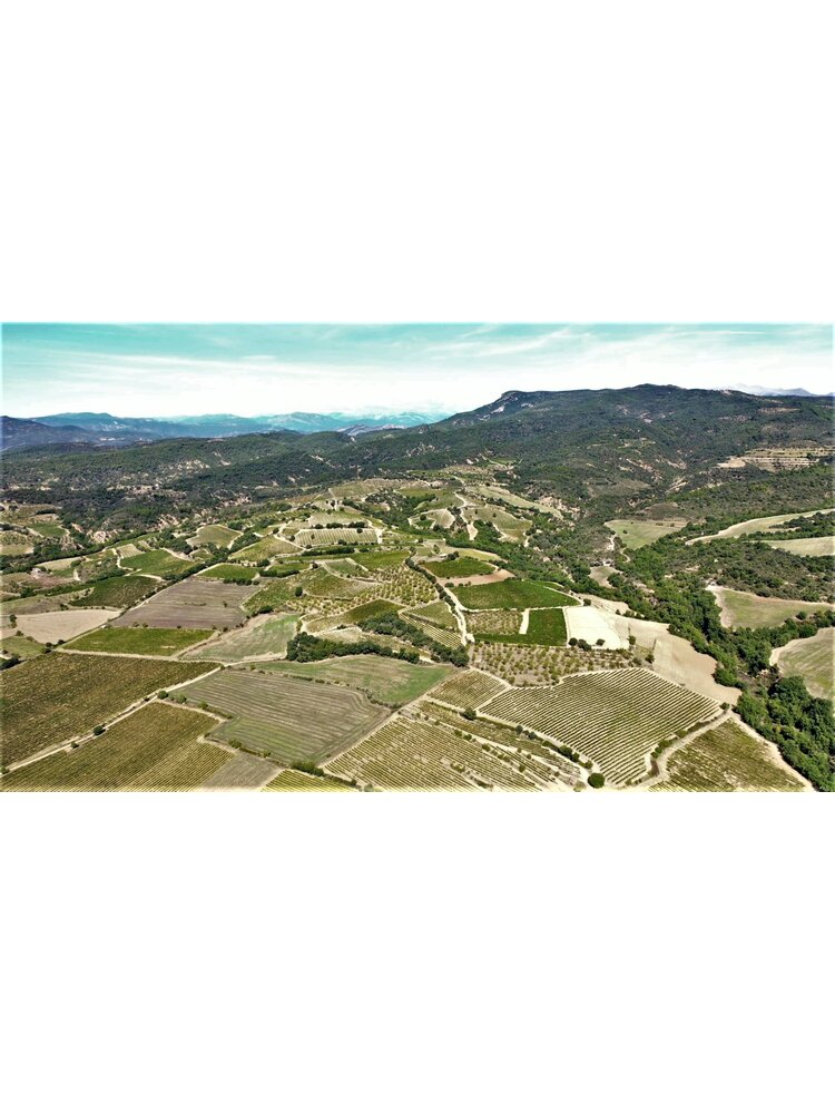 Bodegas Obergo Obergo Caramelos de Obergo 2023
