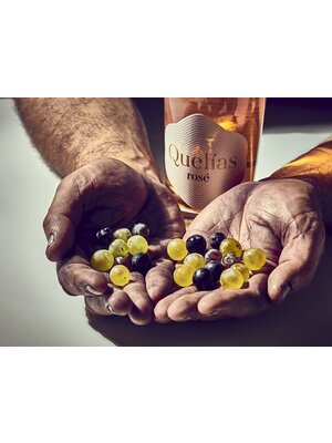 Sinforiano Sinforiano Quelías Rosé 2024