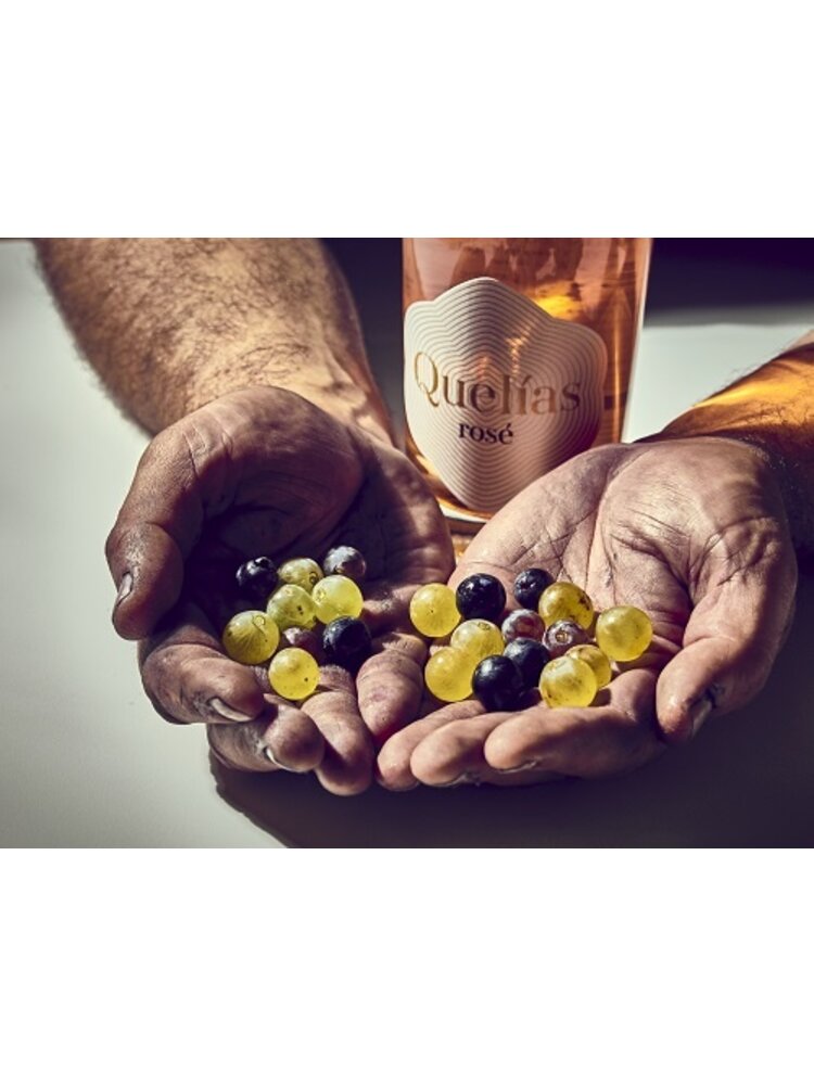 Sinforiano Sinforiano Quelías Rosé 2024
