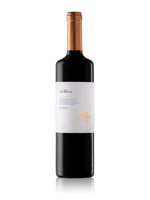 Bodega Batán de Salas Batán de Salas de Beroz Crianza Especial 2022