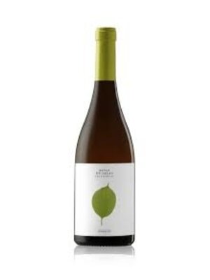 Bodega Batán de Salas Batán de Salas Chardonnay 2024