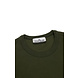 Stone Island STONE ISLAND SWEATER GROEN Stone Island STONE ISLAND SWEATER GROEN