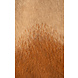 Presidents PRESIDENT'S ALPACA PULLOVER CAMEL Presidents PRESIDENT'S ALPACA PULLOVER CAMEL