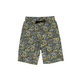 A.P.C. PARIS VINCE SHORTS GROEN