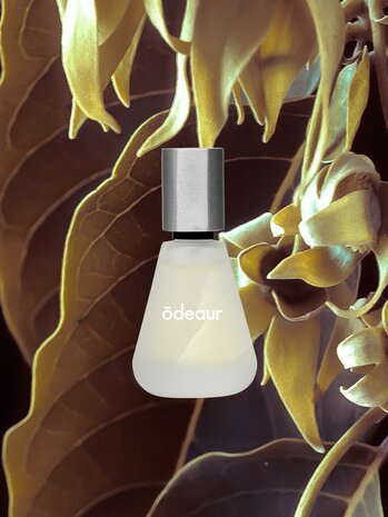 ODEAUR SA. DUSK ODEAUR SA. DUSK