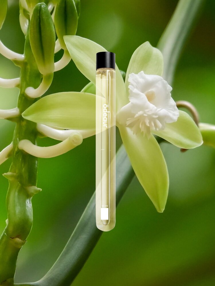 Odeaur ODEAUR 22 DÈBUTÈ REFILL Odeaur ODEAUR 22 DÈBUTÈ REFILL