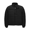 Canada Goose CANADA GOOSE LODGE BLACK LABEL LODGE JACK ZWART