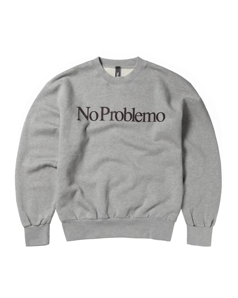 No Problemo NOPROBLEMO SWEATSHIRT GRIJS