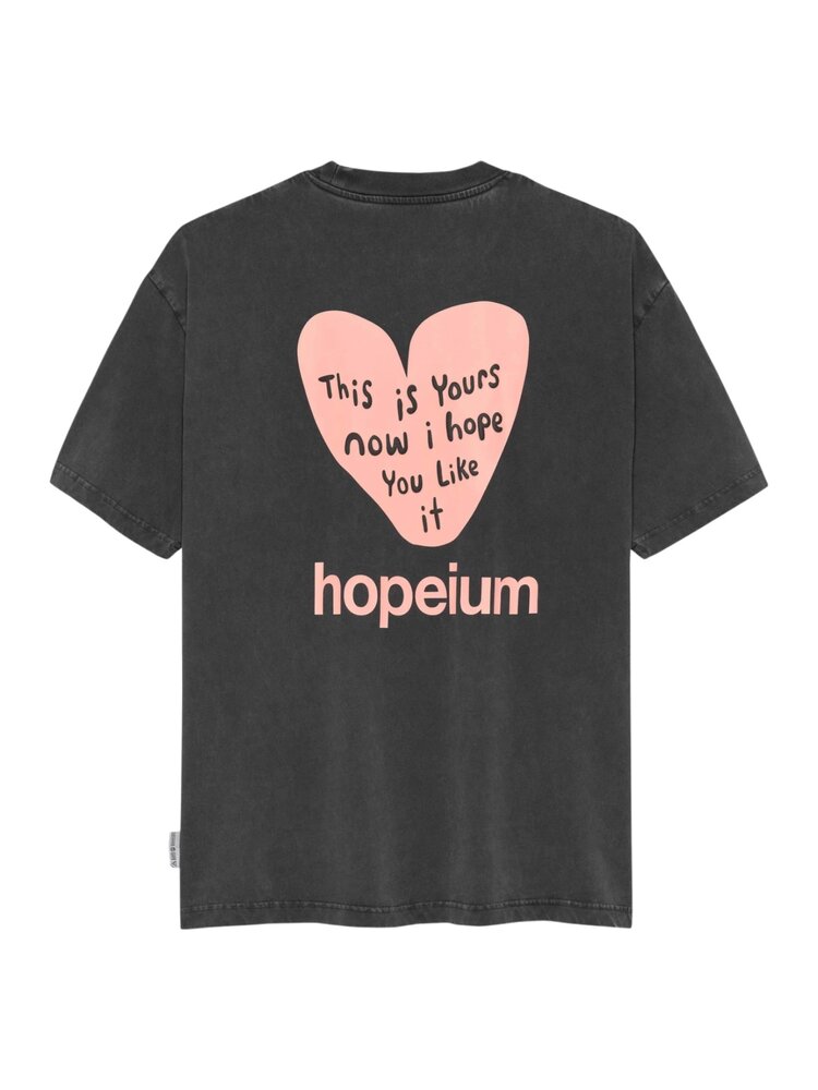 Hopeium HOPEIUM THIS IS YOURS T-SHIRT WASHED GREY
