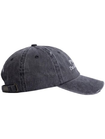 Brams Fruit BRAM'S FRUIT FOIG DISTRESSED CAP GREY