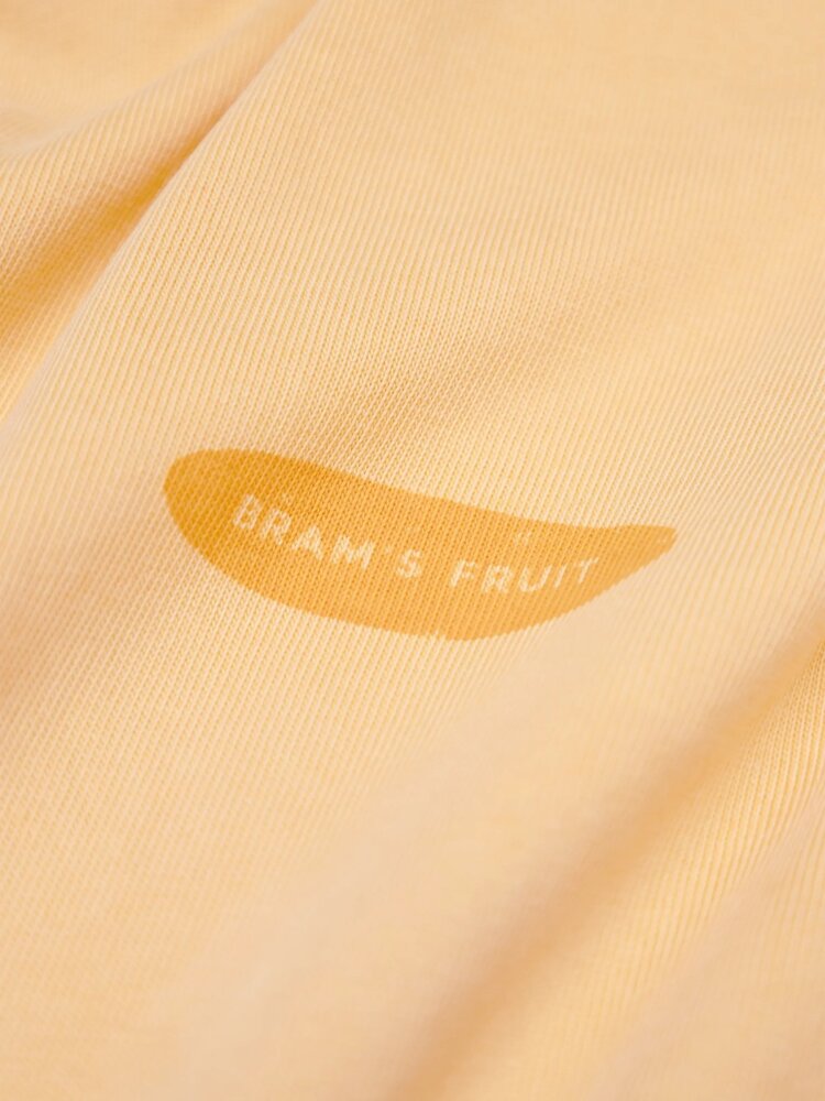 Brams Fruit BRAM'S FRUIT FOIG DISTRESSED T-SHIRT ORANGE