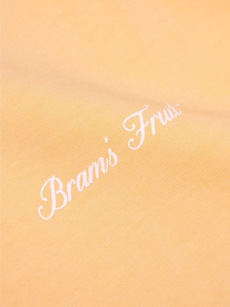 Brams Fruit BRAM'S FRUIT GARDENING GLOVE T-SHIRT ORANGE