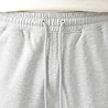 Brams Fruit BRAM'S FRUIT SCRIPT LOGO SHORTS GREY Brams Fruit BRAM'S FRUIT SCRIPT LOGO SHORTS GREY