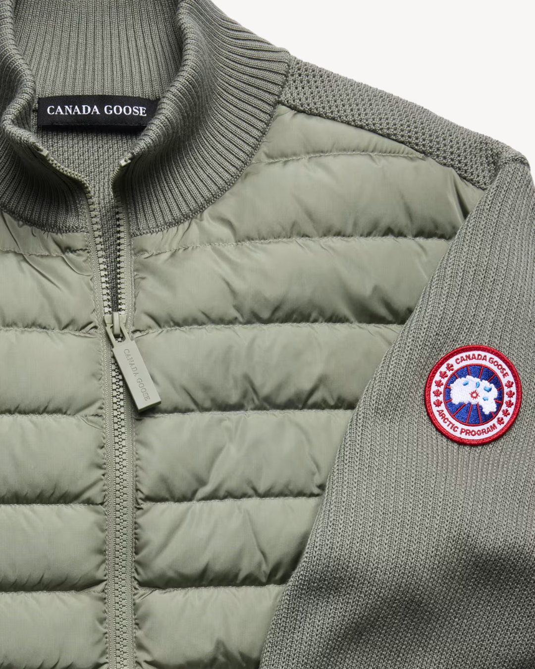 CANADA GOOSE