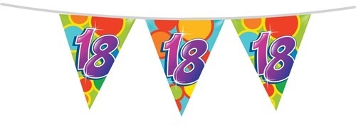 Haza Leeftijd Versiering 18 Jaar Slingers 10 Meter Vlaggenlijn