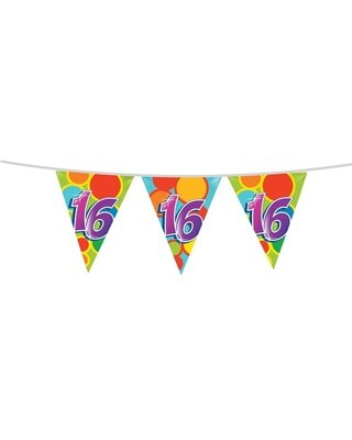 Haza Leeftijd Versiering 16 Jaar Slingers 10 Meter Vlaggenlijn