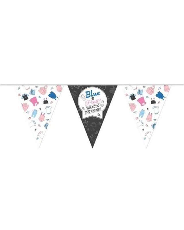 Haza Vlaggenlijn Gender Reveal Versiering Slinger 10 Meter