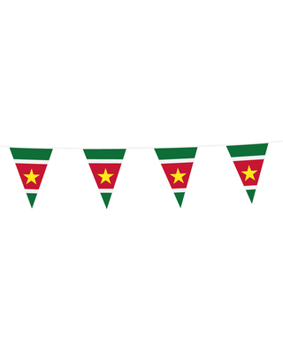 Globos Vlaggenlijn Suriname Slingers 10 Meter
