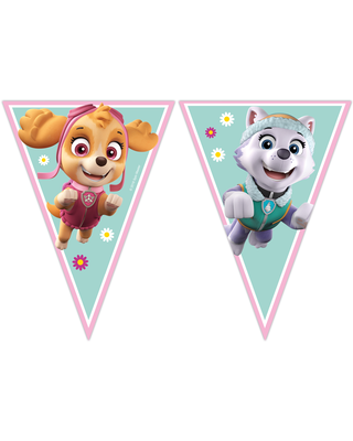 Globos Vlaggenlijn Skye Paw patrol Slingers 2.3 Meter