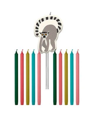 Folat Zoo Kaarsen 11 Stuks