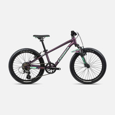 Orbea 2022 Orbea MX 20 XC